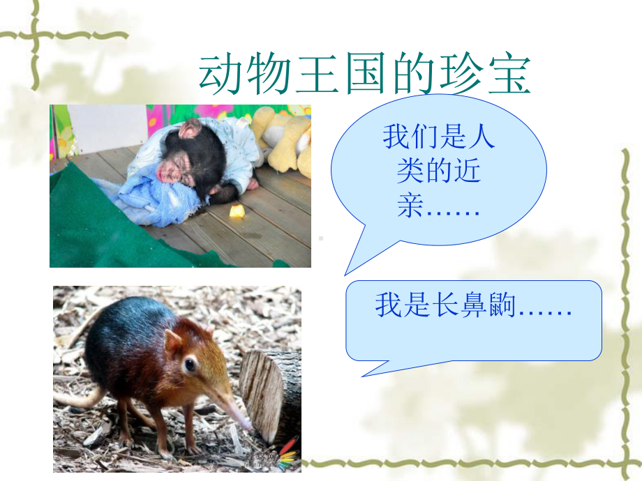 《同住地球村》课件.ppt_第2页