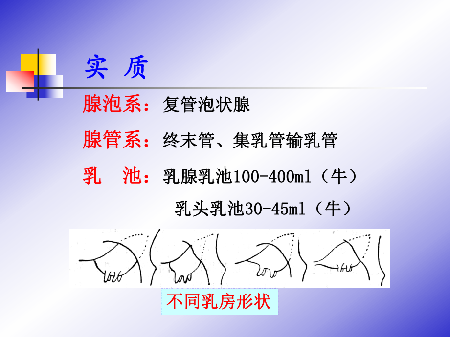 《兽医产科学》教学课件：第十六章-乳腺疾病.ppt_第3页