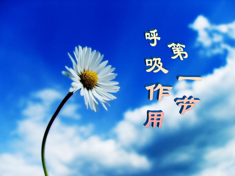 《第一节-呼吸作用》课件.ppt_第2页