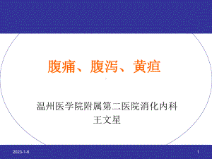 《诊断学》教学课件：大学本科课件-腹痛腹泻黄疸.pptx