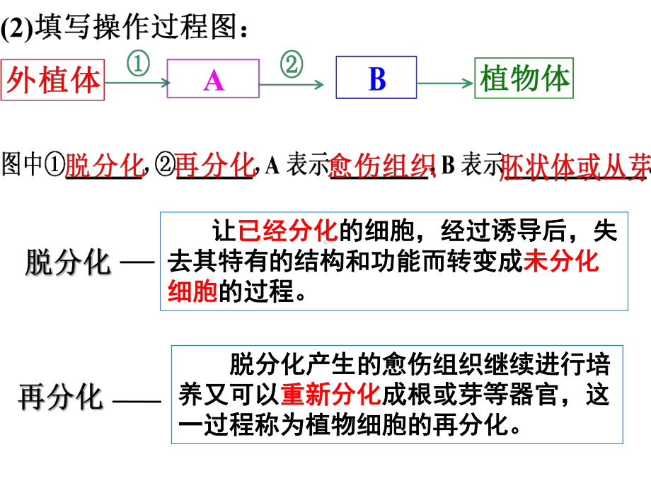 一轮复习细胞工程专题课件.ppt_第3页