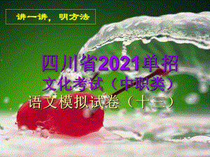 2021年四川单招语文(中职类)模拟试卷(十三)课件.pptx