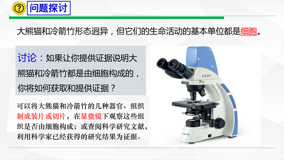 2021届新高考生物备考-细胞是生命活动的基本单位课件.pptx_第2页