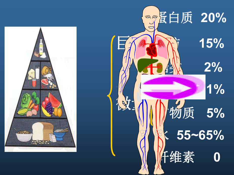 七大营养素营养课件.ppt_第2页