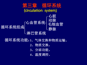 《人体组织学与解剖学》教学课件：7-循环系统.ppt