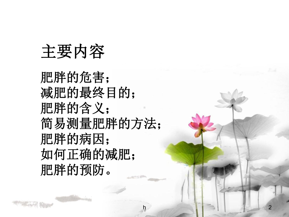 《减肥与减肥》课件.ppt_第2页