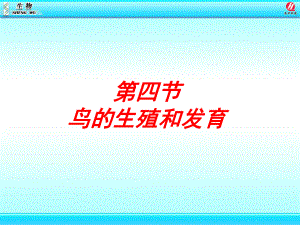 4鸟的生殖和发育课件.ppt