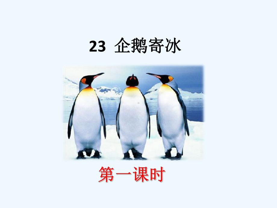 23企鹅寄冰课件.pptx_第1页