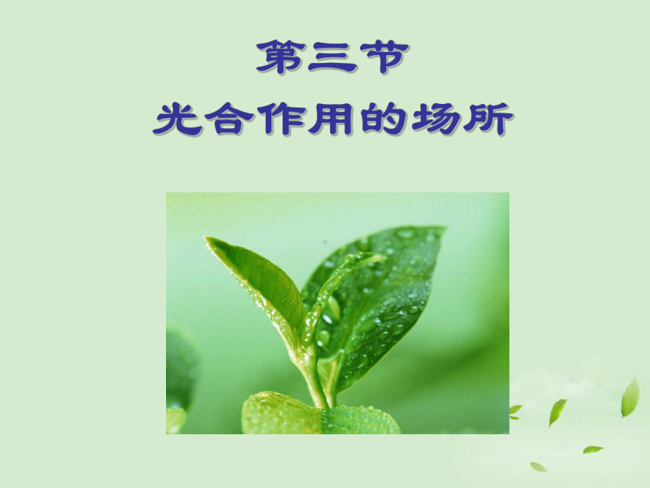 《第三节-光合作用的场所》课件.ppt_第2页