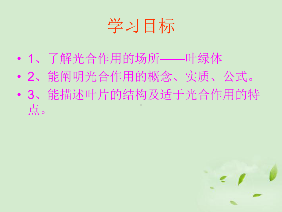 《第三节-光合作用的场所》课件.ppt_第3页