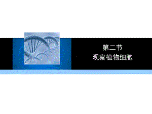 七年级生物上册第二单元第一章第二节植物细胞教学课件(新版)新人教版.ppt