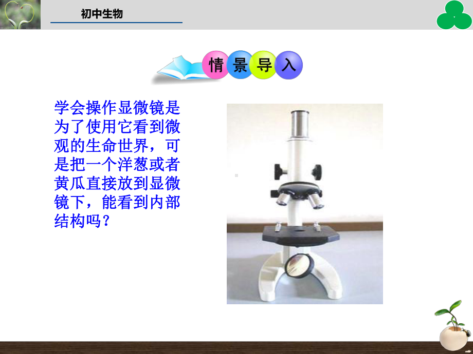 七年级生物上册第二单元第一章第二节植物细胞教学课件(新版)新人教版.ppt_第2页