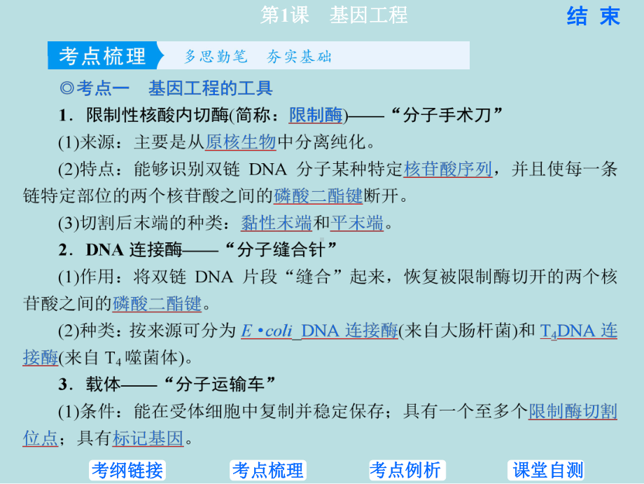 2021届全国新高考生物复习基因工程课件.pptx_第2页