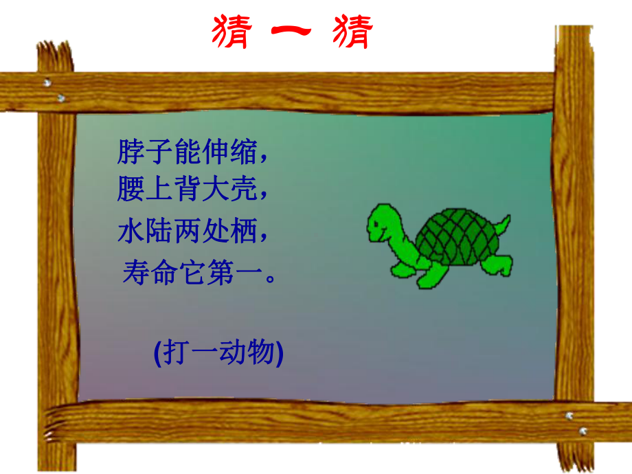 《犟龟》阅读推荐课课件.ppt_第3页