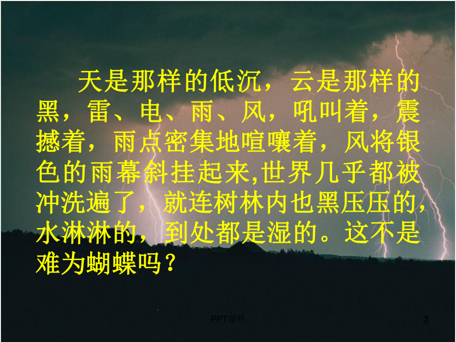 《蝴蝶的家》课件.ppt_第3页