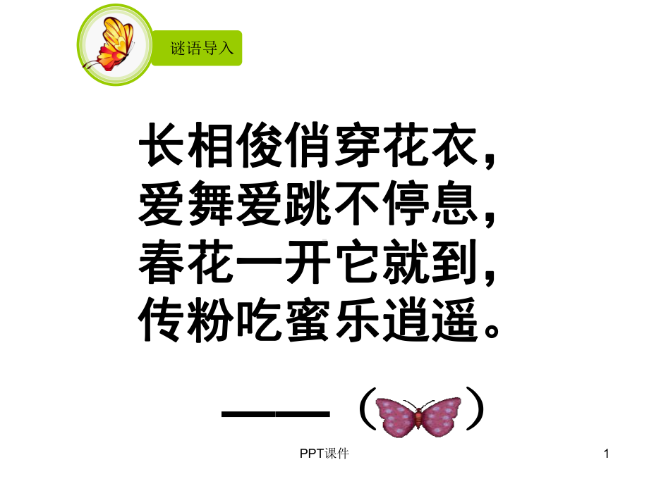 《蝴蝶落我家》课件.ppt_第1页