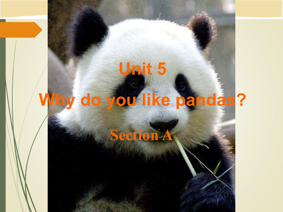 Unit-5-Why-do-you-like-pandas-优质课公开课课件-8.ppt（纯ppt,不包含音视频素材）_第2页