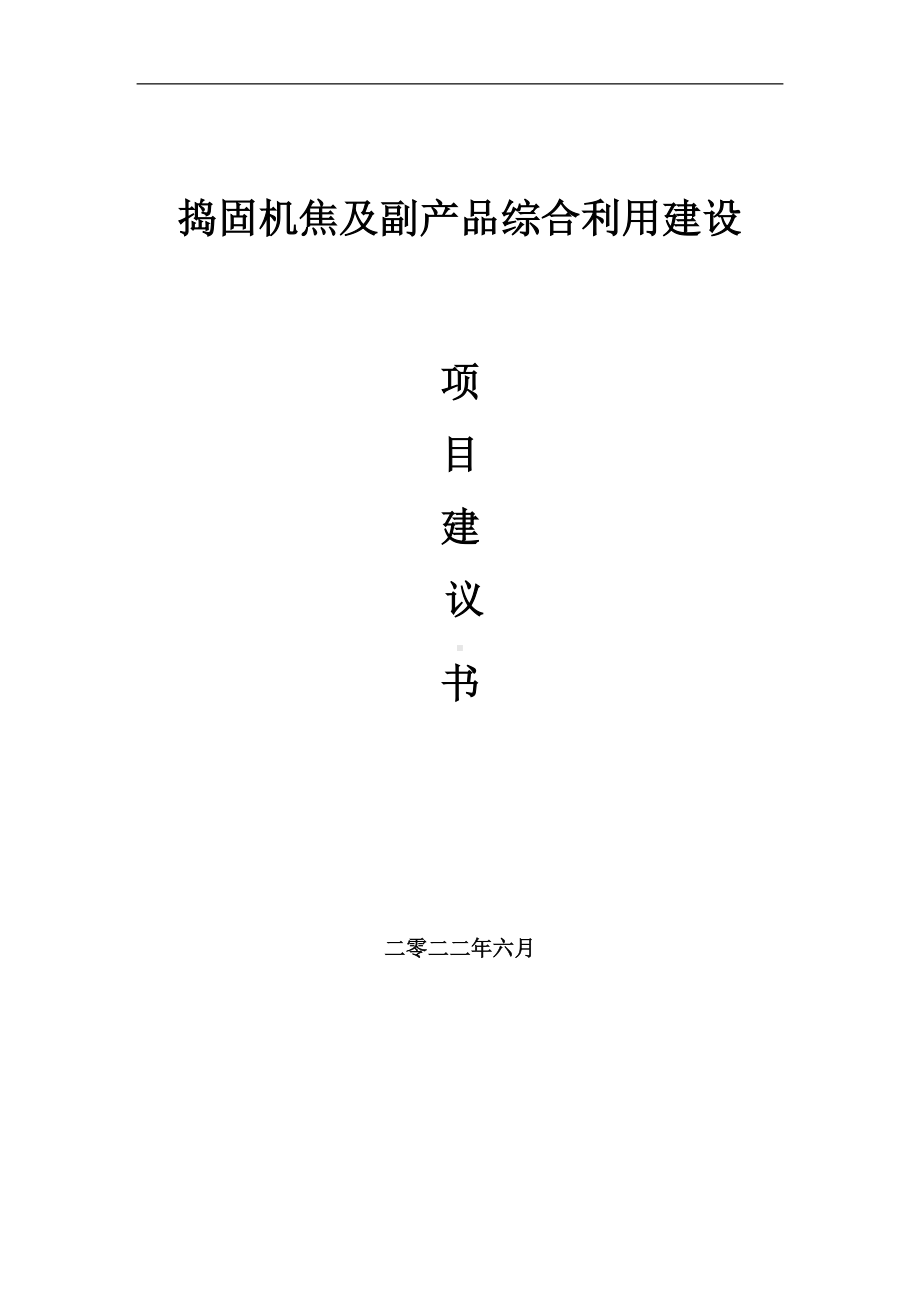 捣固机焦及副产品综合利用项目建议书（写作模板）.doc_第1页