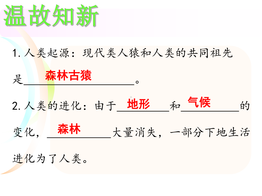 七年级下册生物期中复习课件.ppt_第3页