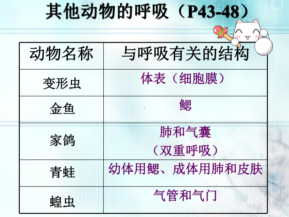 《第三节-其他生物的呼吸》课件.ppt_第2页