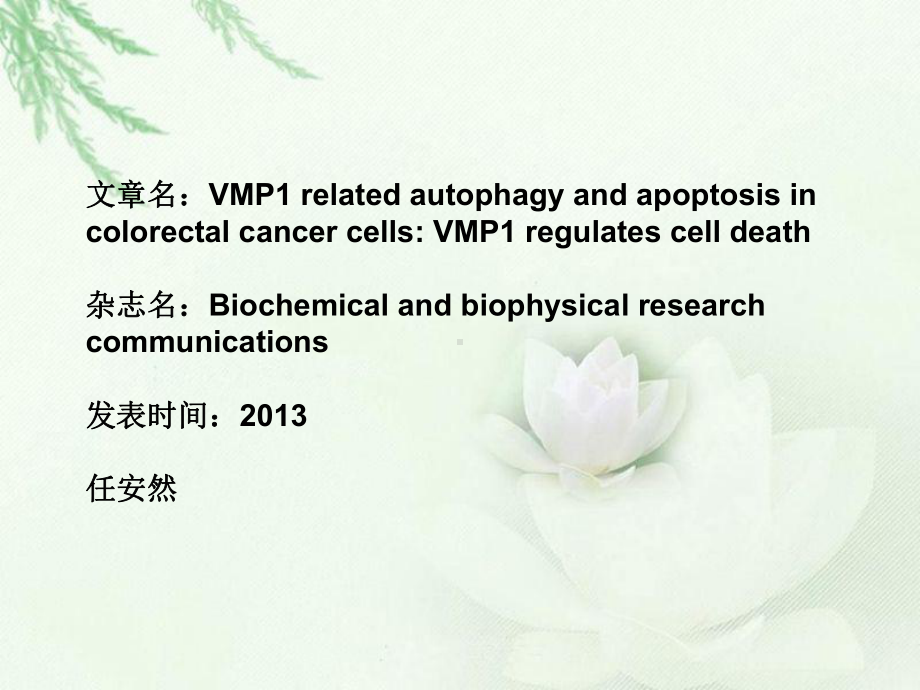 VMP1-regulates-cell-death-VMP1(膜泡蛋白1)与结肠直肠癌细胞的课件.ppt_第1页