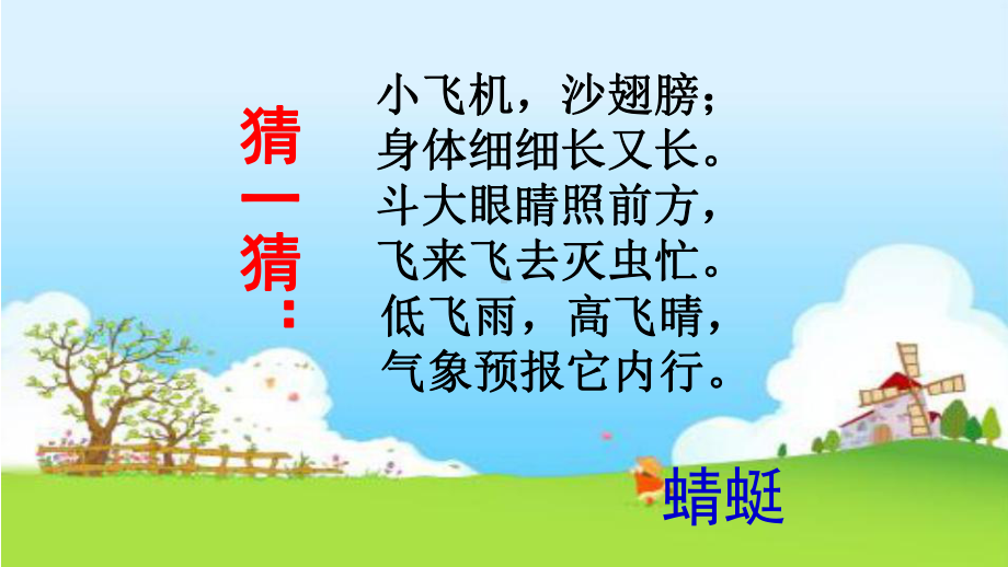 《蜻蜓飞飞》公开课优秀课件.ppt_第1页