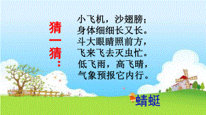 《蜻蜓飞飞》公开课优秀课件.ppt