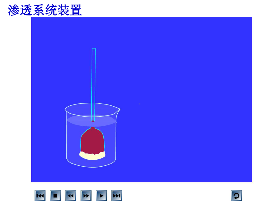 41-被动运输-人教版高中生物必修一课件.pptx_第3页