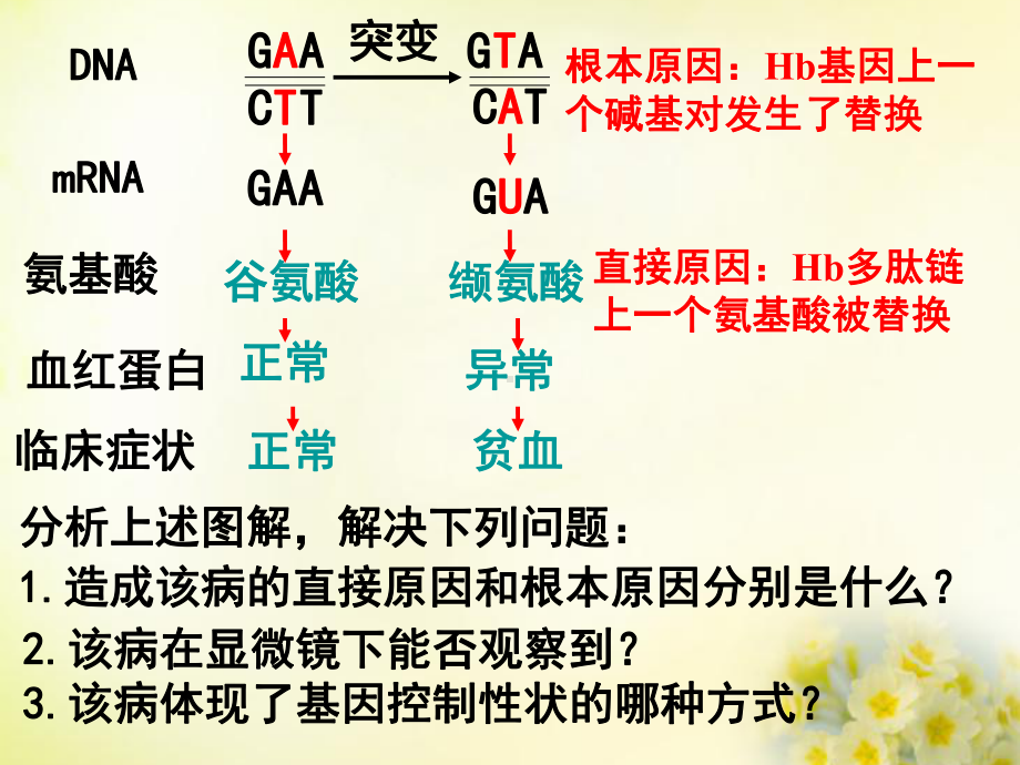 51-基因突变和基因重组课件(新人教版必修2).ppt_第3页