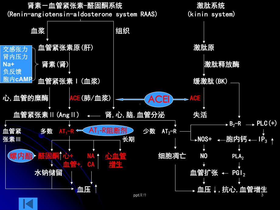 RASS系统药理课件.ppt_第3页