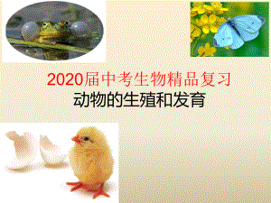 2020届中考生物复习：动物的生殖和发育课件.pptx