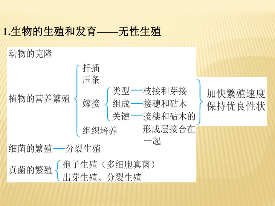 2021年中考生物专题复习课件★★生物的生殖、发育和遗传.pptx_第2页