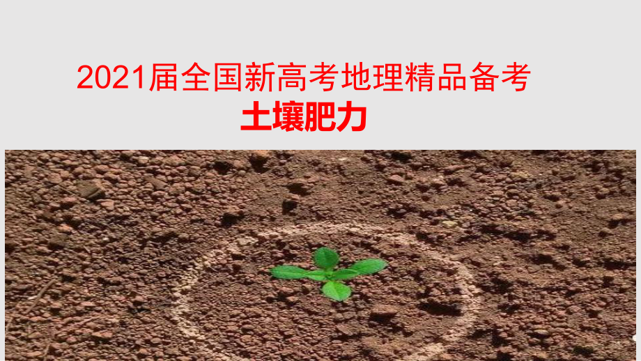 2021届全国新高考地理备考-土壤肥力课件.pptx_第1页