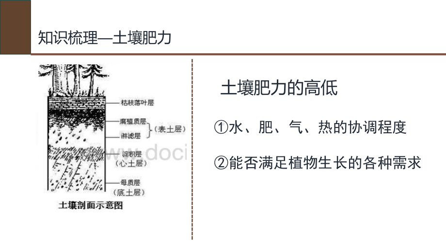 2021届全国新高考地理备考-土壤肥力课件.pptx_第3页