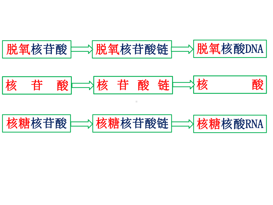 DNA分子的结构和复制课件.pptx_第3页