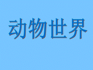 六年级下册综合实践活动课件-动物世界 全国通用(共15张PPT).pptx