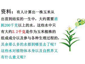 七年级生物上册：33绿色植物与生物圈的水循环课件.ppt