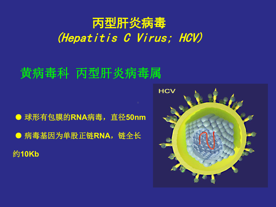 DAA时代慢性丙型肝炎的诊断与治疗课件.ppt_第2页