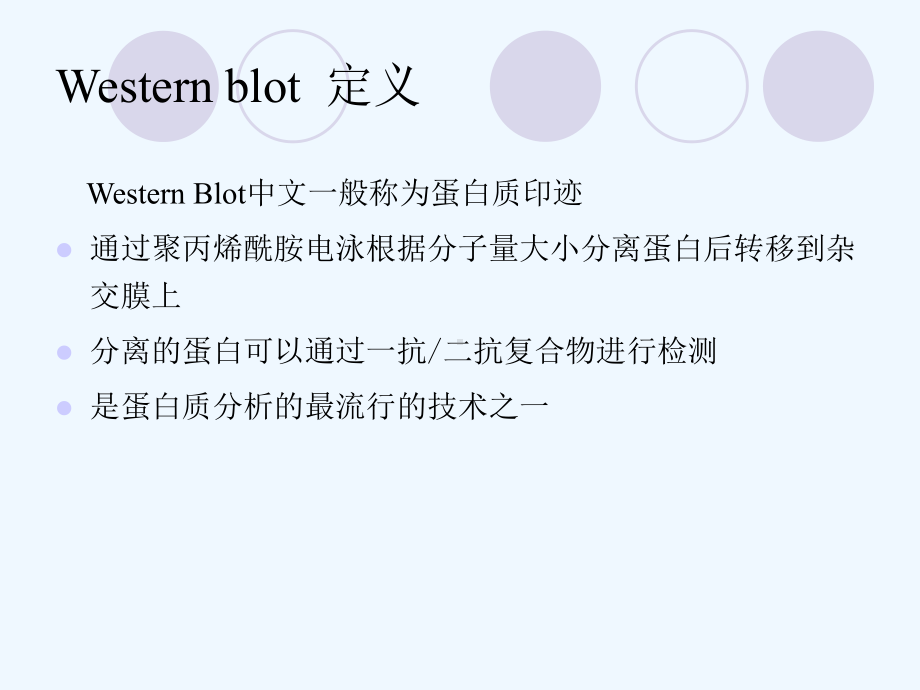 westernblot原理及操作流程课件.ppt_第2页