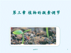 《其他植物激素》课件-002.ppt