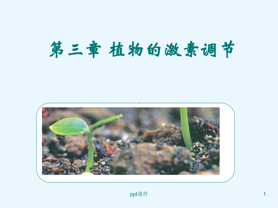 《其他植物激素》课件-002.ppt_第1页