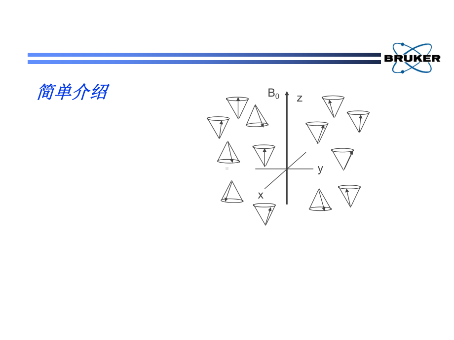 Bruker布鲁克核磁共振培训资知识讲解课件.ppt_第2页