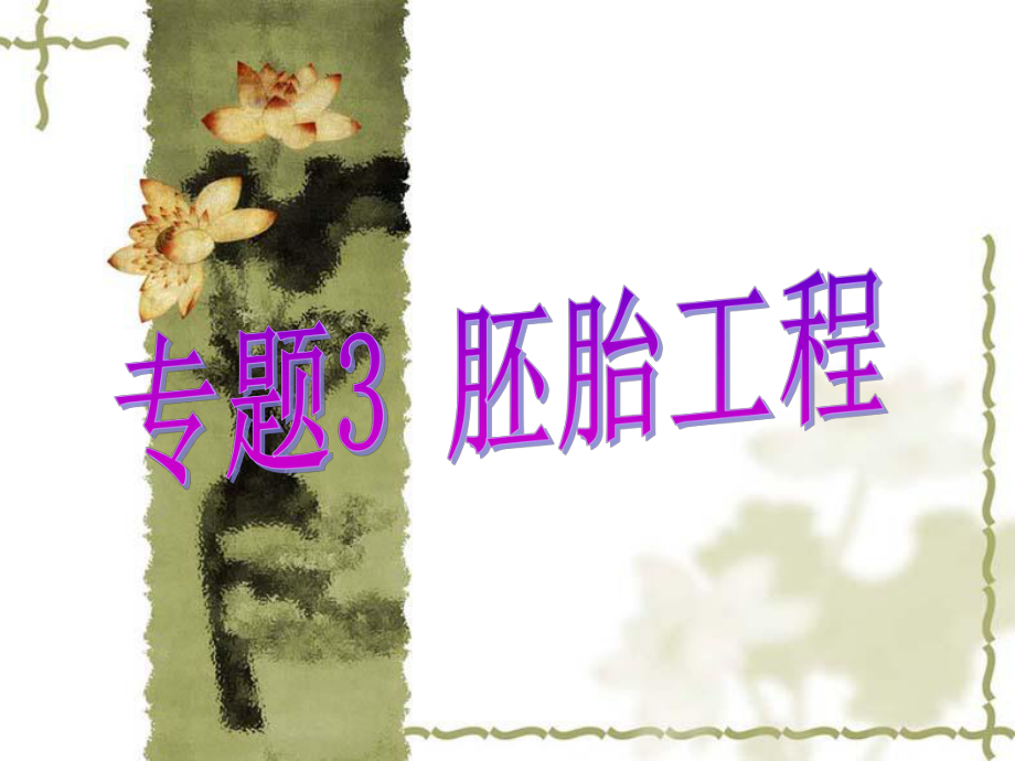 31《体内受精和早期胚胎发育》公开课课件.ppt_第1页