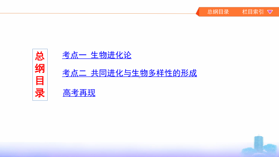 2021届全国新高考生物备考复习：生物的进化课件.pptx_第2页