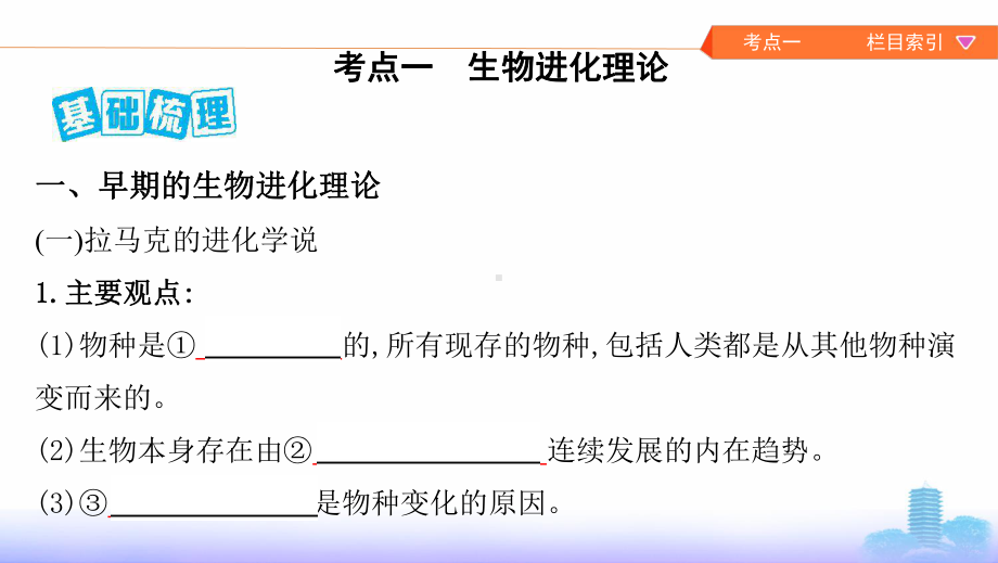 2021届全国新高考生物备考复习：生物的进化课件.pptx_第3页