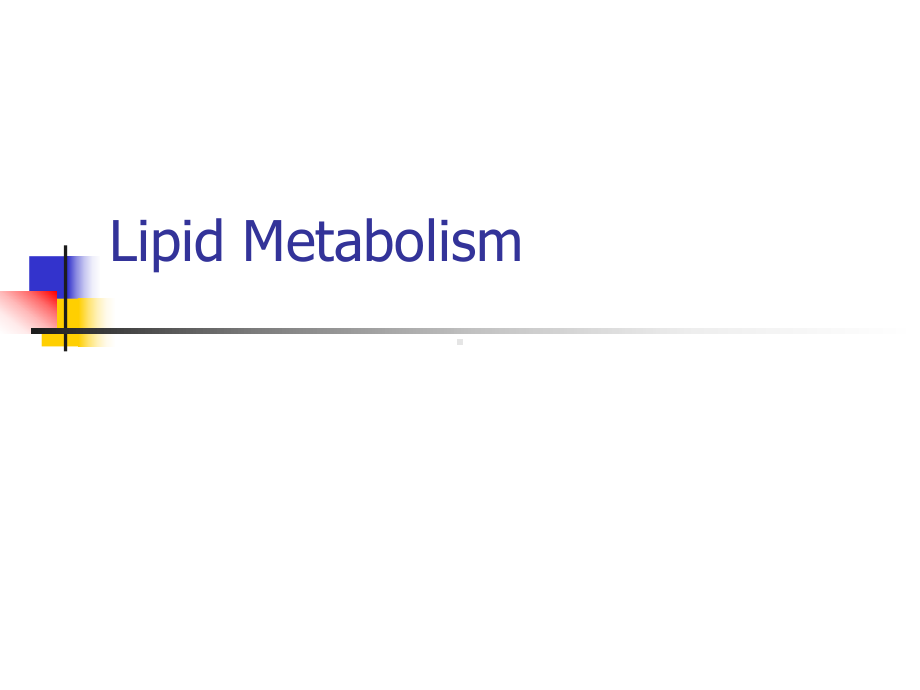 Metabolism-of-Lipids-大学动物营养学课件-英文版.ppt_第1页