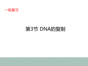 4-3高中生物一轮复习DNA的复制课件.ppt