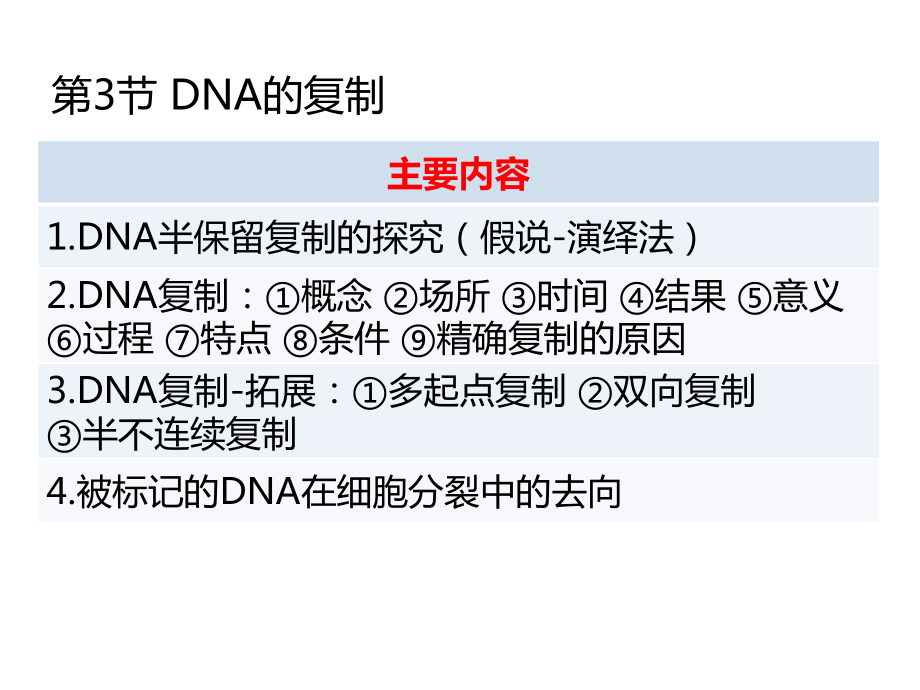 4-3高中生物一轮复习DNA的复制课件.ppt_第2页