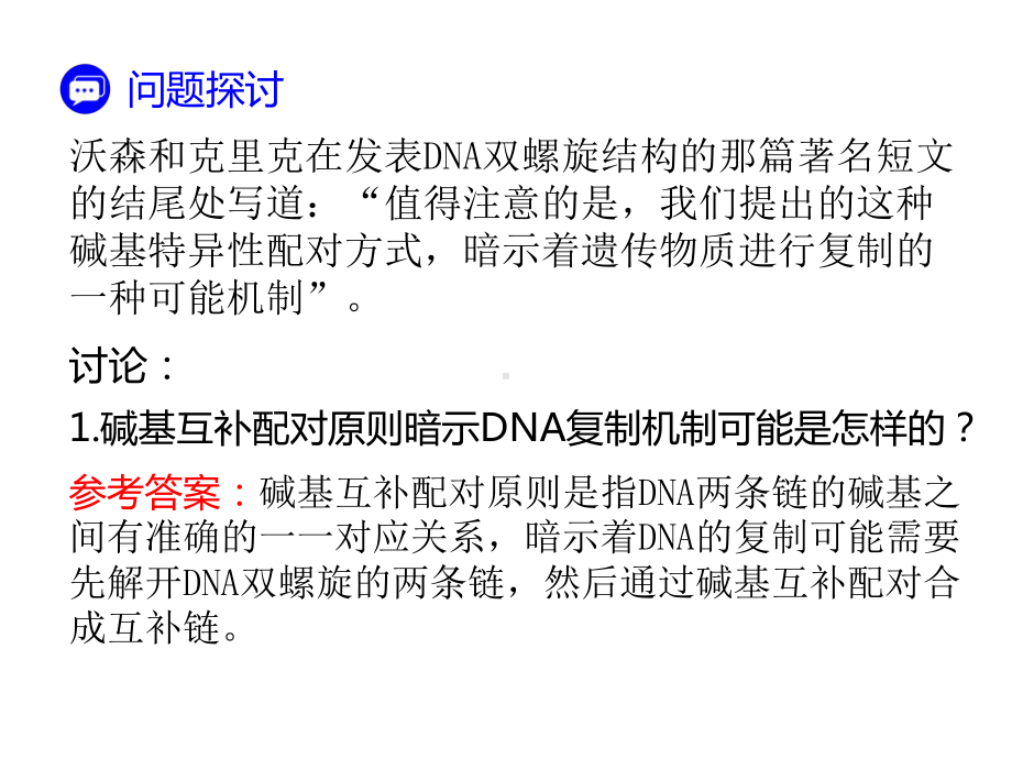 4-3高中生物一轮复习DNA的复制课件.ppt_第3页