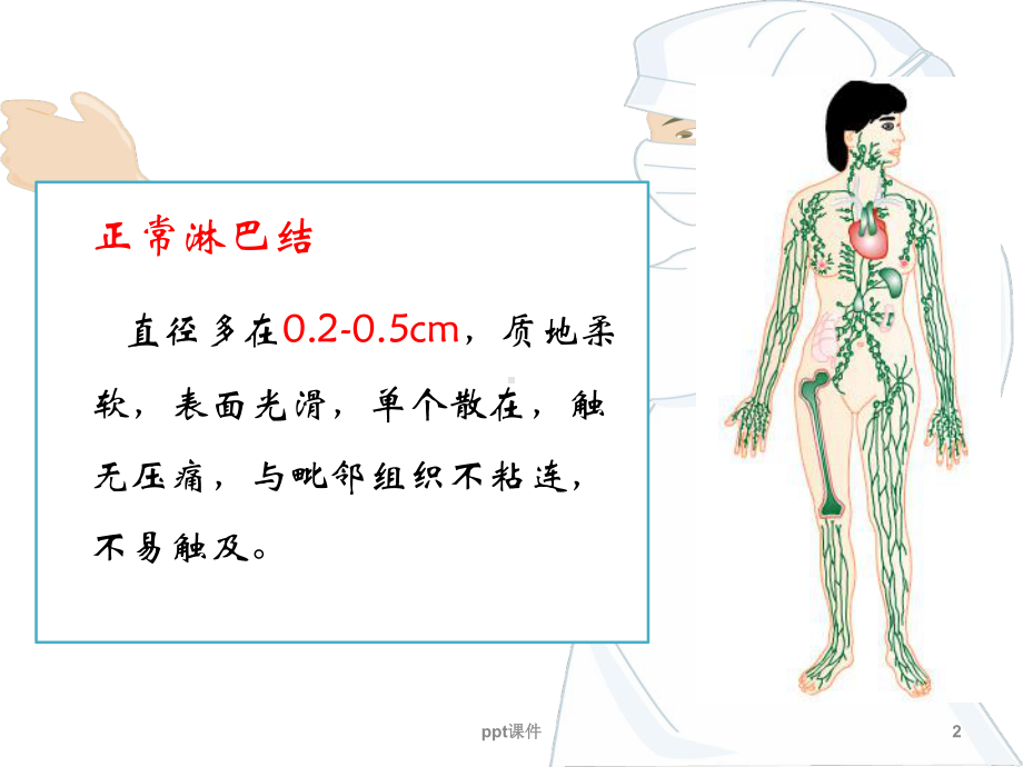 一般检查第三节淋巴结课件.ppt_第2页